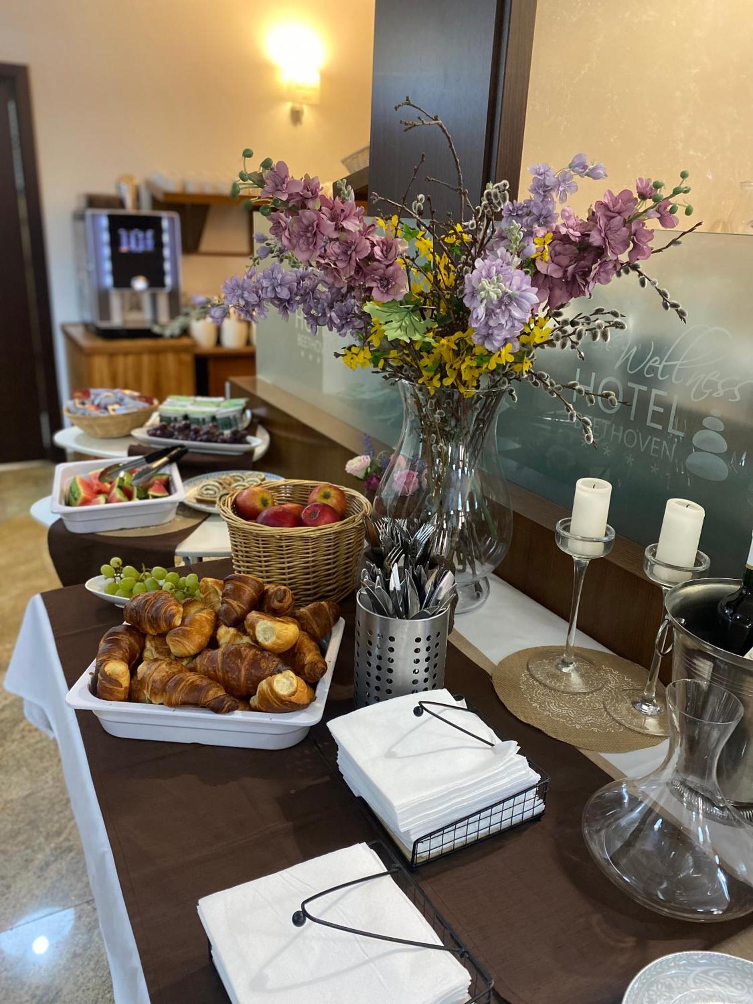 Wellness Hotel Beethoven Chomutov Εξωτερικό φωτογραφία